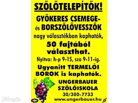Szőlőiskola hallgatói