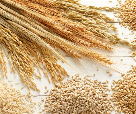 Különböző gabonafélék