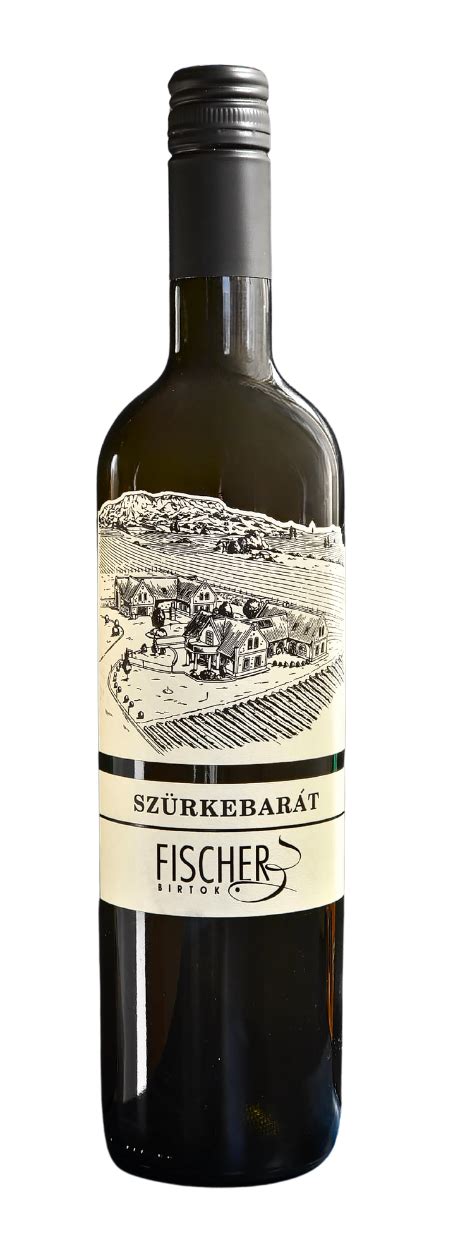 Szürkebarát szőlőfürtök Badacsonyban