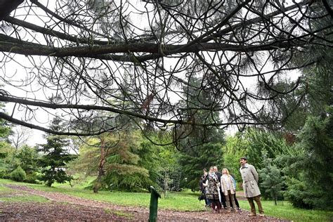 Látkép a Folly Arborétumról
