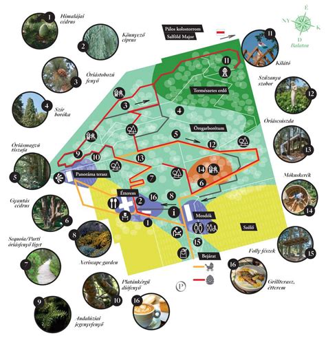 Térkép a Folly Arborétum elhelyezkedéséről