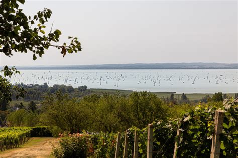 Kilátás a Balatonra a Léránt Pince teraszáról
