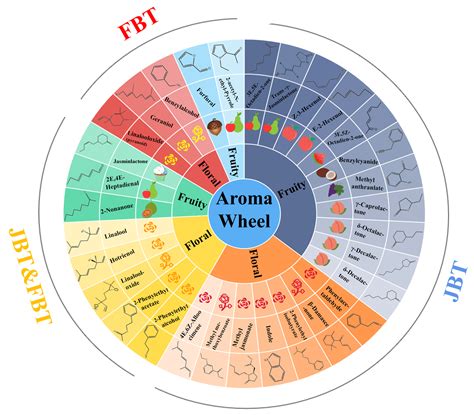 Aroma wheel showing fruity and floral notes