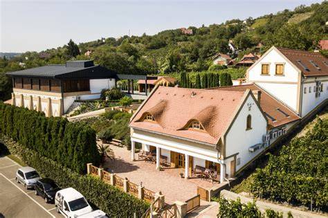 Szekszárdi terroir és borászat látképe