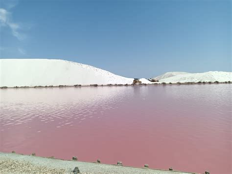 Napos francia tengerpart rózsaszín borospoharakkal