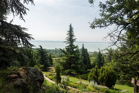 Folly Arborétum