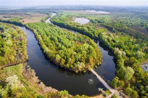 Szőlőültetvény a Duna-Tisza közén