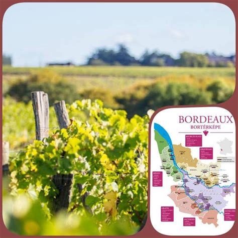 Bordeaux borvidék térképe