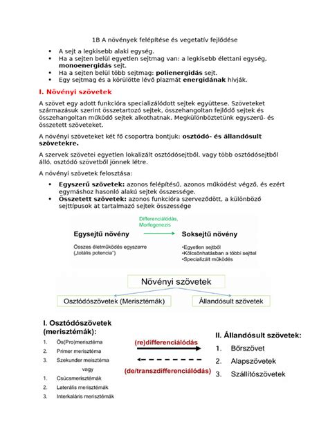 Növények fejlődése különböző kezelések hatására