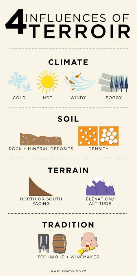tokaji_aszu terroir infographic