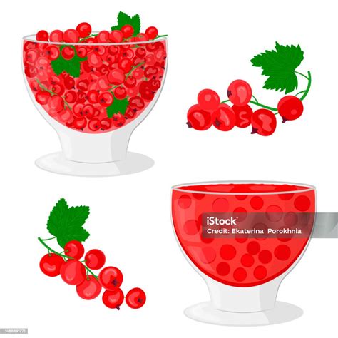 Illusztráció piros bogyós gyümölcsökről és rózsaszirmokról