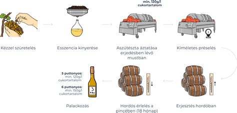Vörösbor készítésének folyamata