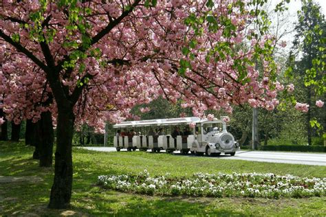 Zalakaros város látképe kézműves standokkal