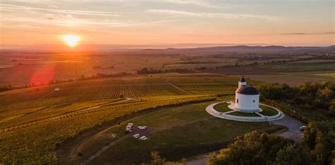 Tokaj-Hegyalja vulkanikus talaj