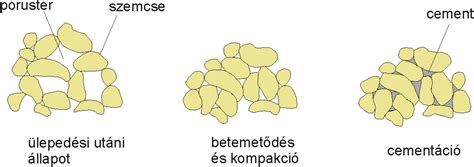 Komlóvirágzat és lupulin szemcsék