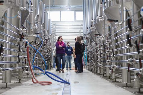 Középkori sörfőzde