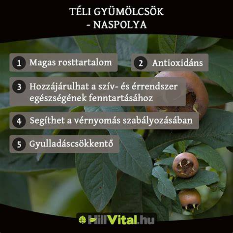 Infografika a gyümölcsök hőkezelésének lépéseiről