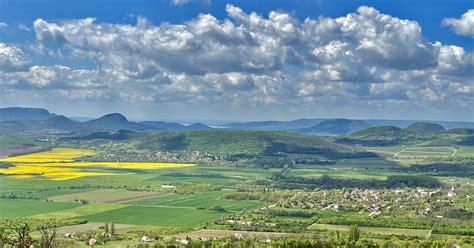 Káli-medence tájképe szőlőtőkékkel