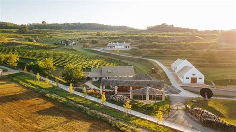 Bodri Pincészet borkóstoló terem