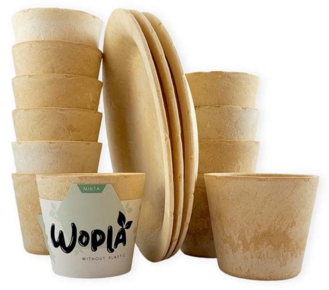 Környezetbarát sörösdobozok és poharak