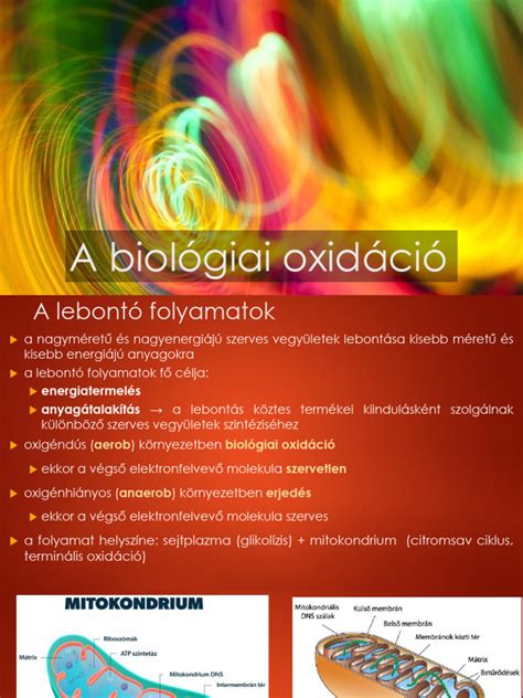 Oxidáció hatása a sörre