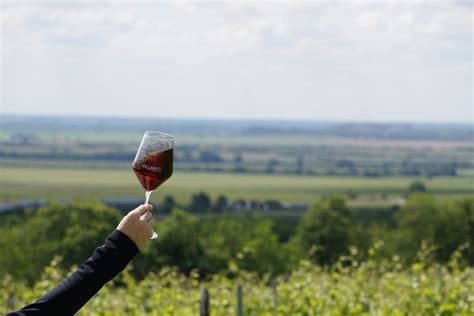 Villányi borvidék panorámája szőlőtőkékkel