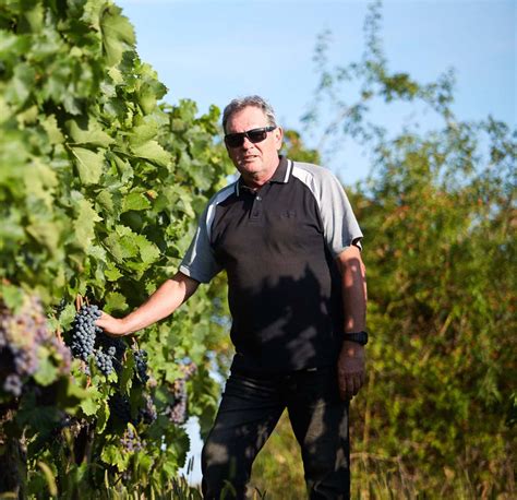 Jekl Béla présháza kilátással a szőlőültetvényre