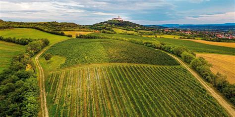 Térkép a Pannonhalmi Borvidék főbb településeiről és dűlőiről
