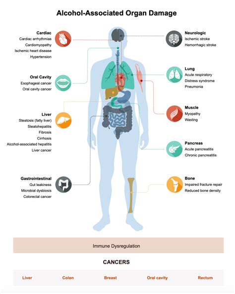 Infografika az alkohol egészségügyi hatásairól