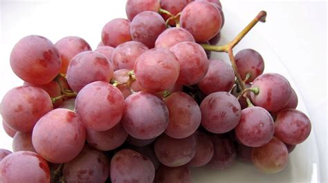 Egy hatalmas, laza fürt sötétkék szőlő, rajta finom hamvassal