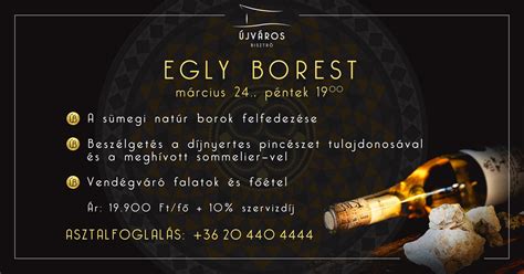 Egly Szőlőbirtok és Borászat ültetvényei a domboldalon