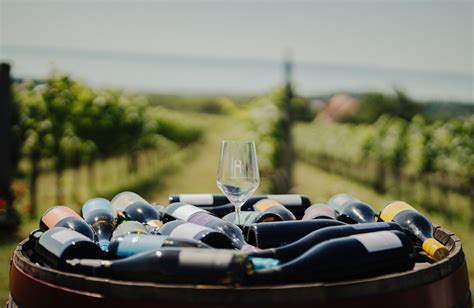 Homola Pincészet Borterasz panorámája