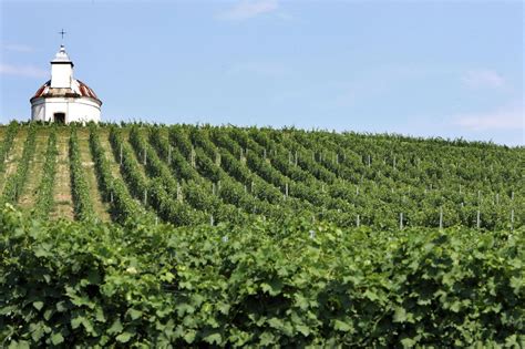 Tokaji borvidék sörfőzdéi