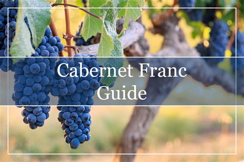 Cabernet Franc szőlőlevél