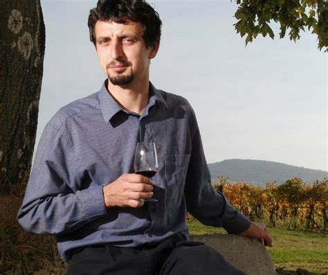 Ipacs Szabó István pincéje