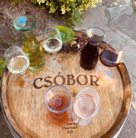 Térkép a Velencei-tóról és a Csóbor Pincészet szőlőültetvényeiről