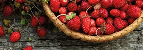 Érett gyümölcsök szüretelése