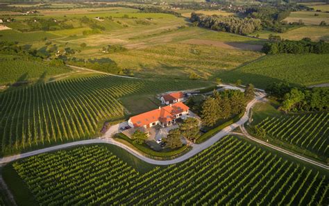 Villa Tolnay szőlőbirtok