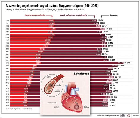 szív érrendszeri betegségek és dohányzás kapcsolata