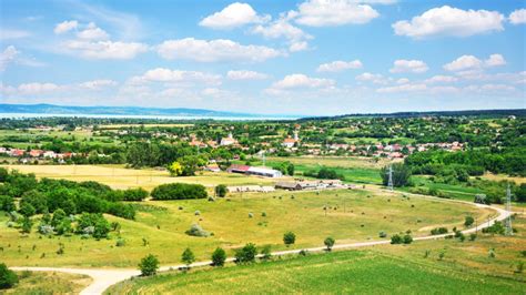 Magyar táj szőlőtőkékkel és borospalackokkal