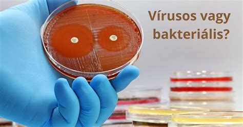 Bakteriális fertőzések mikroszkóppal