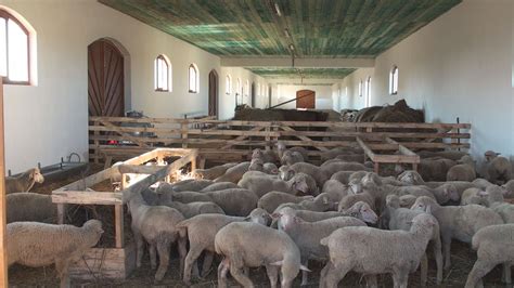 Hagyományos magyar tanya épülete