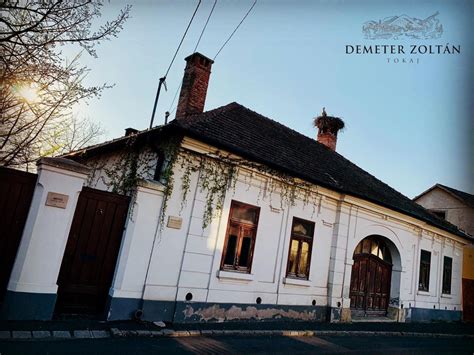 Demeter Zoltán Pincészet szőlőültetvénye