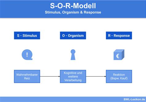 Az S-O-R modell ábrázolása