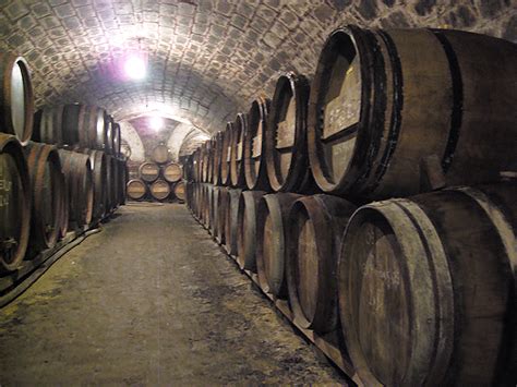 Belső pincei rész a Beck Pincében, tartályokkal és hordókkal