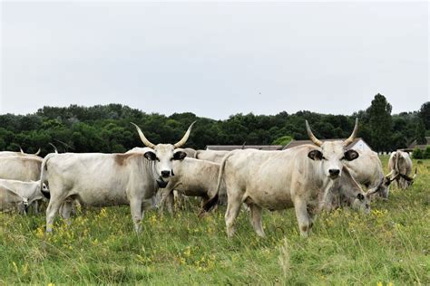 Túraútvonal a Kiskunsági Nemzeti Parkban