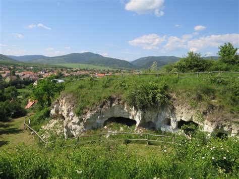 B pince riolittufába vájt érlelőterme