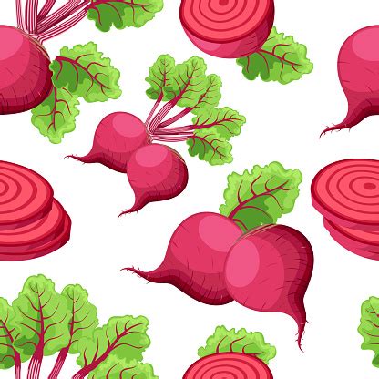 Illusztráció a cékla történelmi felhasználásáról