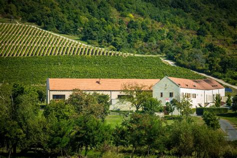 Villányi szőlőbirtok panoráma