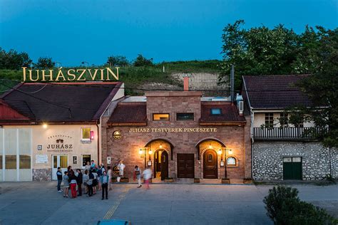 Juhász Testvérek Pincészet szőlőültetvénye
